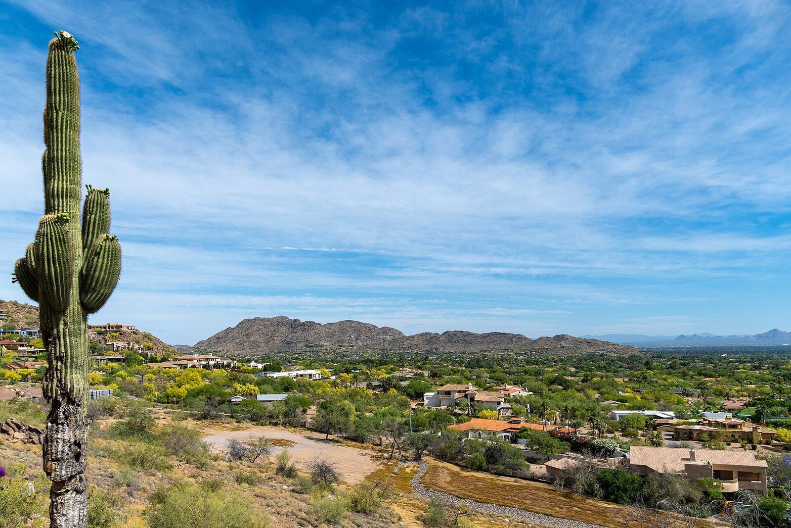 View of the Phoenix Valley from Camelback Mountain — saguaro, desert homes, and the McDowells in the distance